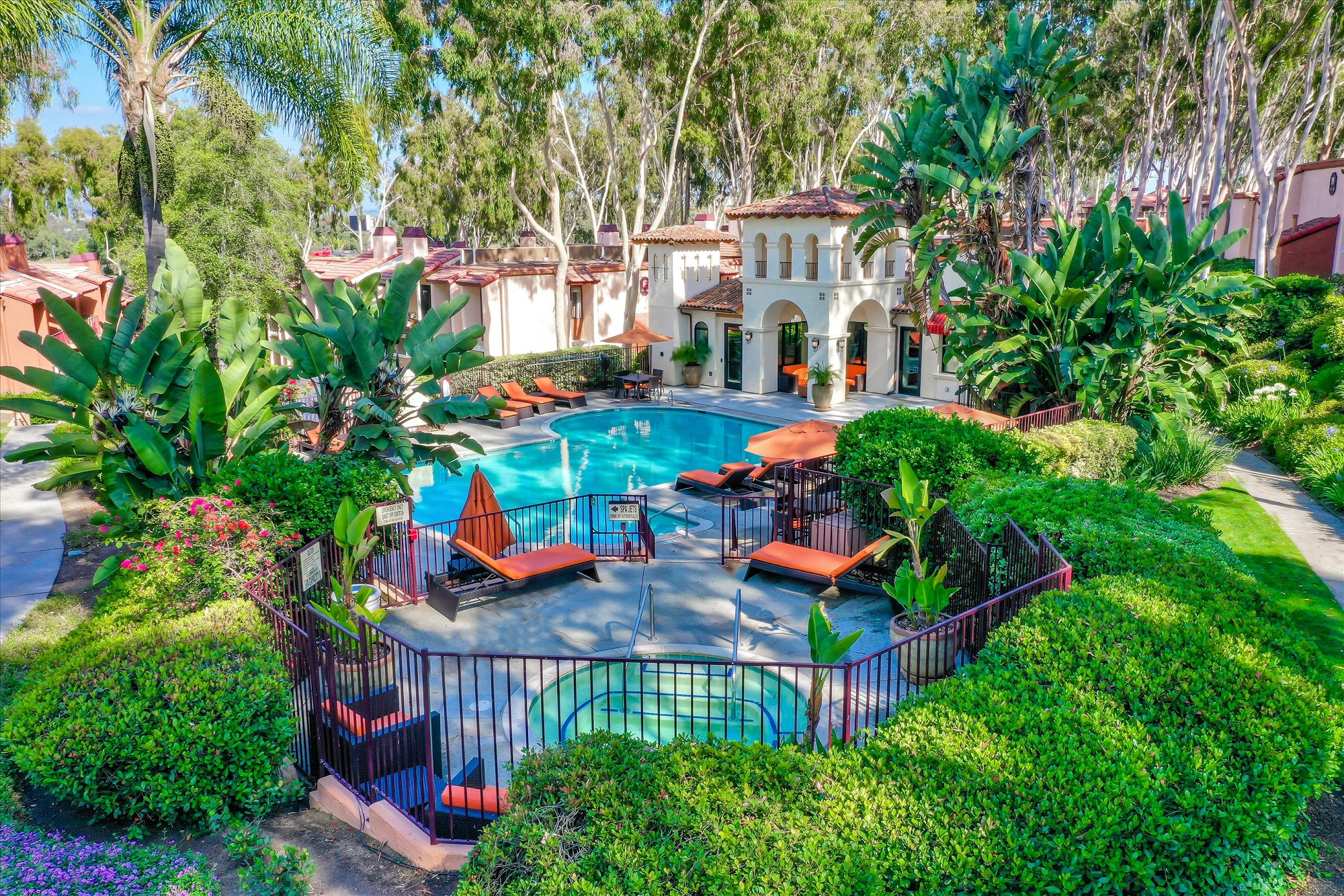Exterior day shot of pool with tropical landscaping, shaded seating, and suntanning beds