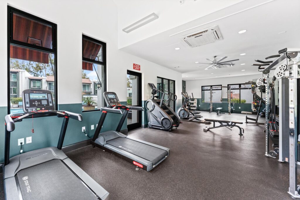 Gym with exercise machines, free weights, and a mirrored wall.